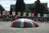 c0047860_23254746.jpg