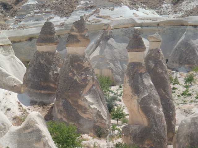 c0177361_20492730.jpg
