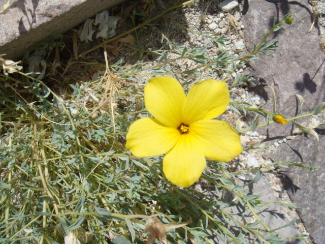 c0177361_20501077.jpg