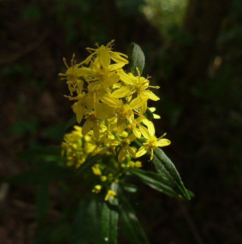 a0063364_23203663.jpg