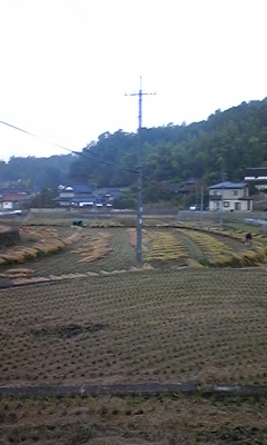 e0143667_12154217.jpg