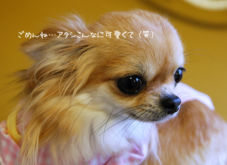 c0026870_22131032.jpg