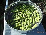 c0126271_19472241.jpg