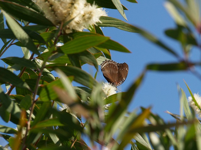b0135573_16225961.jpg