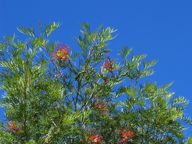 b0135573_18102957.jpg