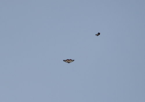 f0181173_17373241.jpg