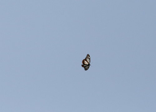 f0181173_17392294.jpg