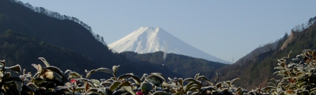 a0091680_14491187.jpg
