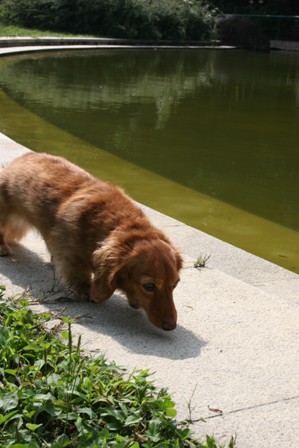 c0108981_213721.jpg
