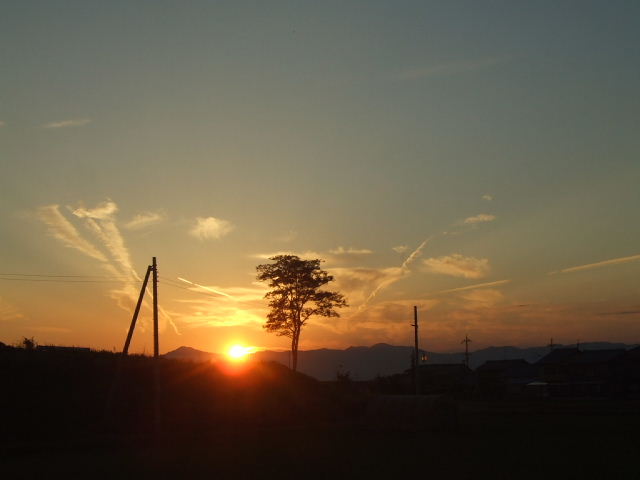 f0005081_20212448.jpg