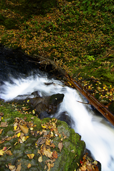 f0163583_23234939.jpg