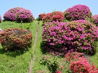 c0105785_8582279.jpg