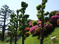 c0105785_9163153.jpg