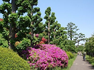 c0105785_94417.jpg