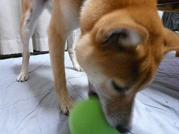 c0123890_2034342.jpg