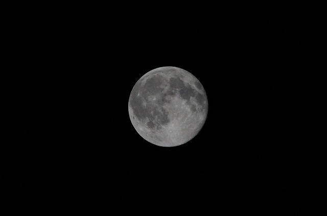 d0020791_22294561.jpg