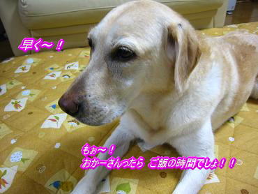 c0028792_2256765.jpg