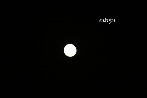 e0122194_711170.jpg