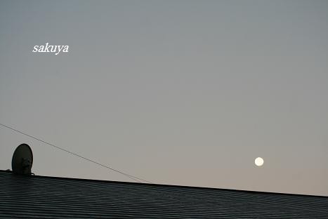 e0122194_722750.jpg