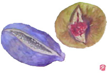 f0008597_19102436.jpg