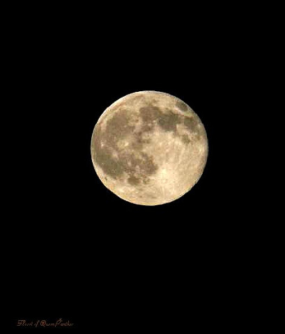 f0083400_17263084.jpg