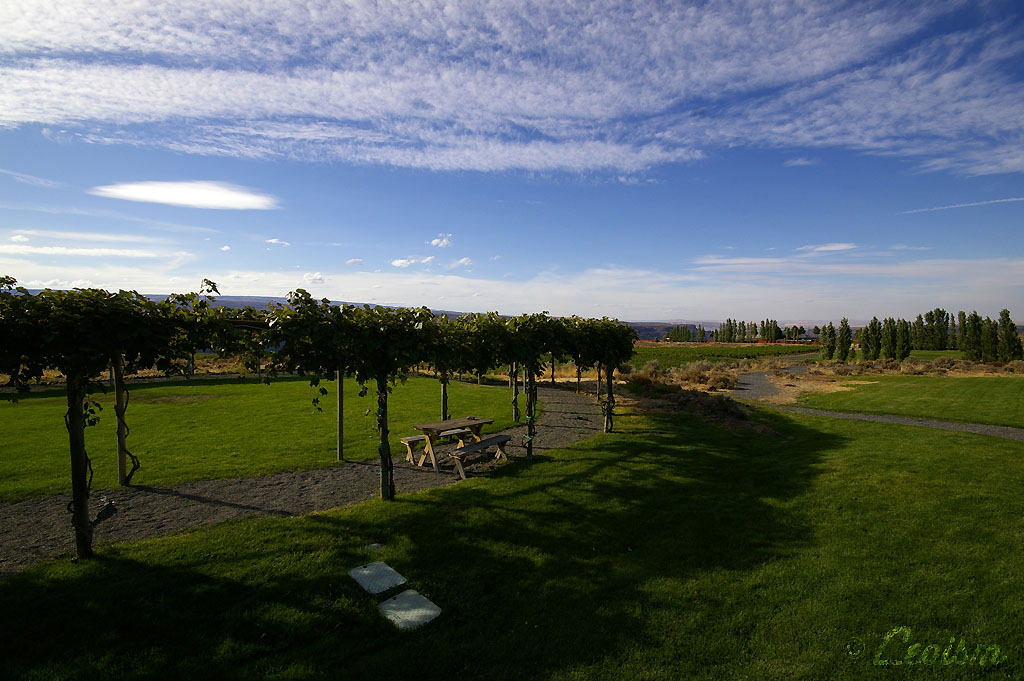 c0080101_13385527.jpg