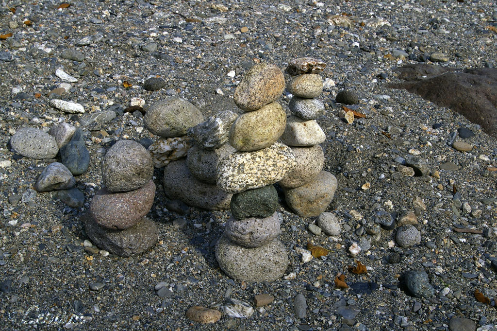 c0080101_1445850.jpg