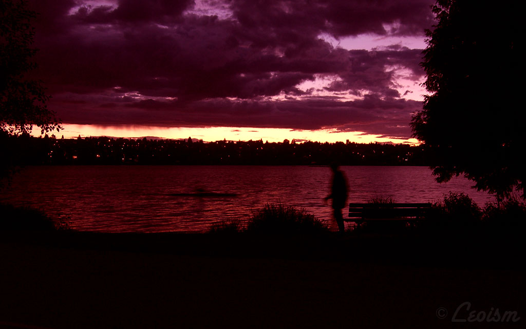 c0080101_7404453.jpg