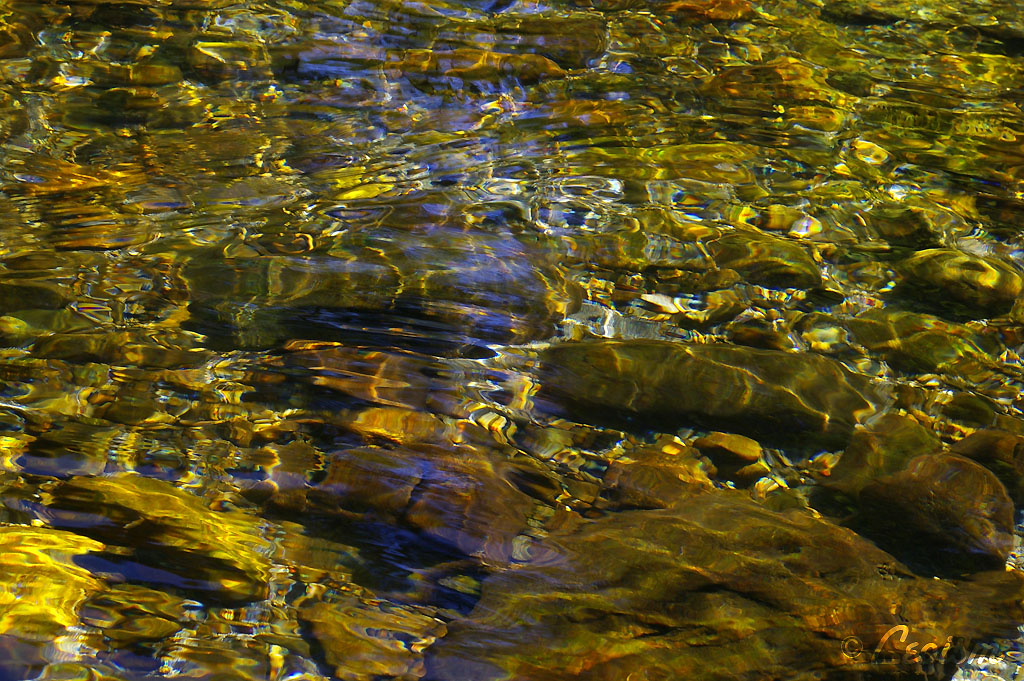 c0080101_7433384.jpg