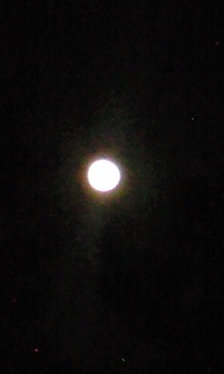 b0083902_201329.jpg