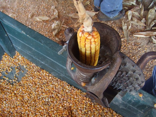 c0062603_10262143.jpg
