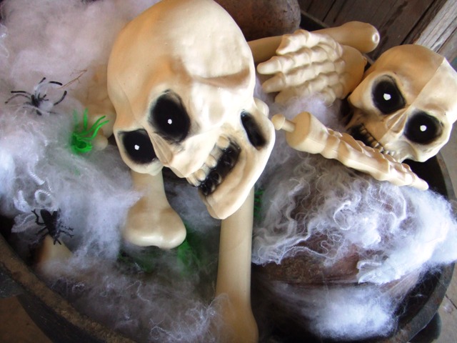 c0062603_1027251.jpg