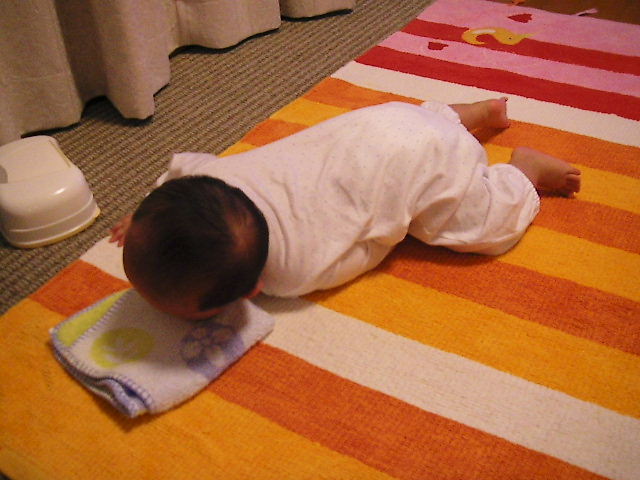 f0038407_15202585.jpg