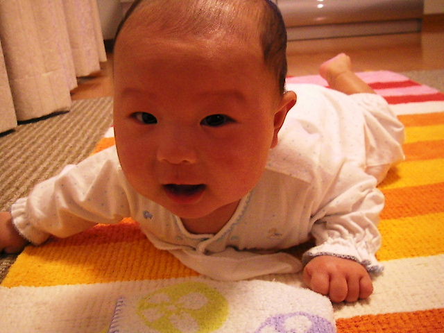 f0038407_15204730.jpg
