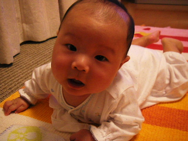 f0038407_15213799.jpg
