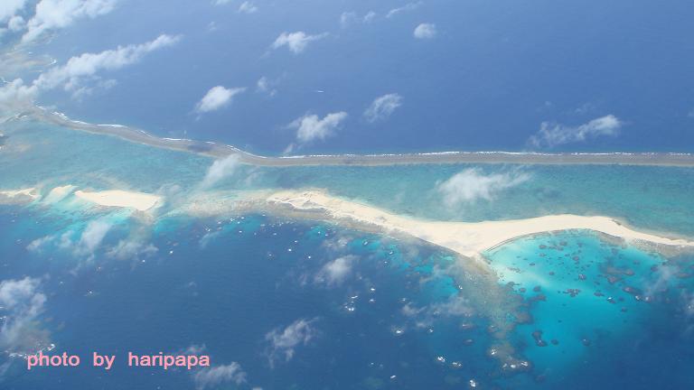 e0123808_0363560.jpg
