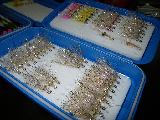 e0123808_040535.jpg
