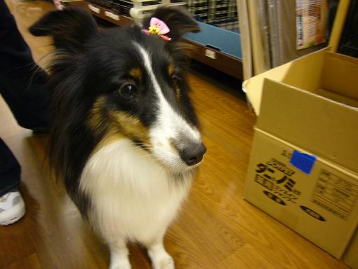 e0130008_19203928.jpg