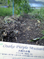 f0135908_20253737.jpg