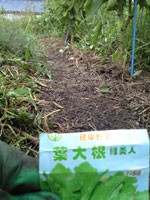 f0135908_20285682.jpg