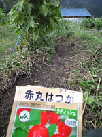 f0135908_2032976.jpg