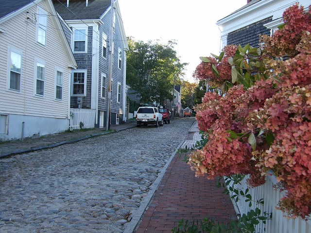 e0124011_805026.jpg