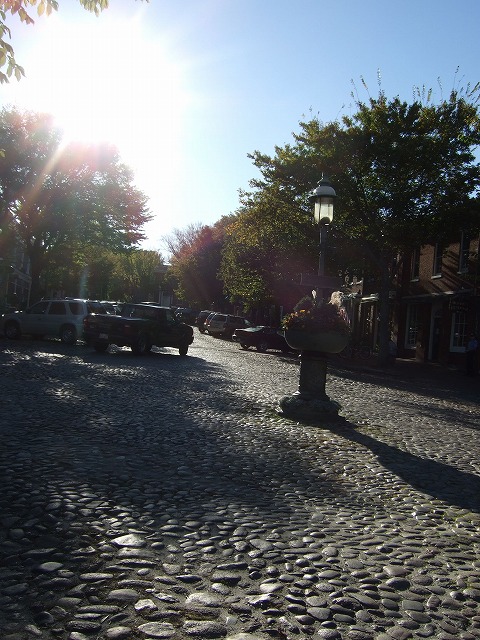 e0124011_8134456.jpg