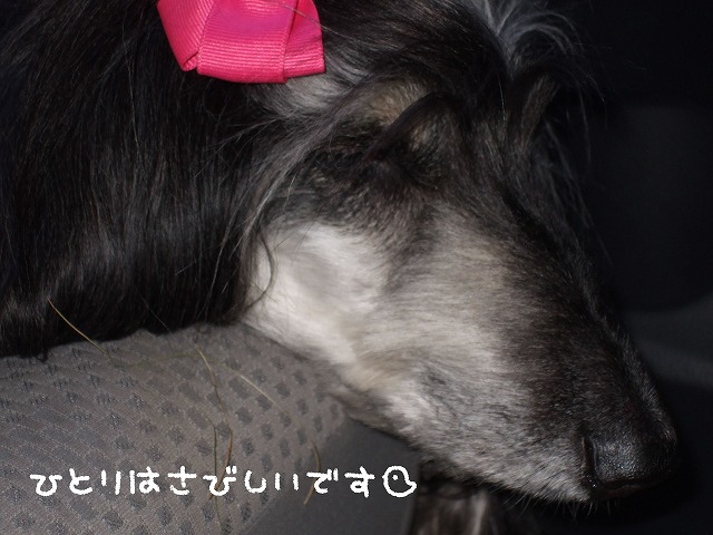 e0124011_8261525.jpg