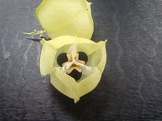 f0046614_2291928.jpg