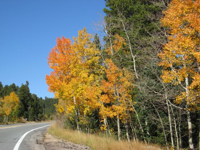 c0112622_14494759.jpg