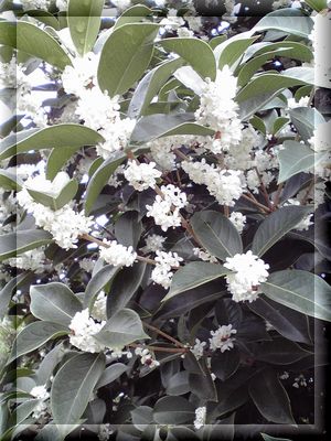 f0196231_2005588.jpg