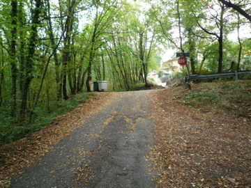 d0136540_261695.jpg