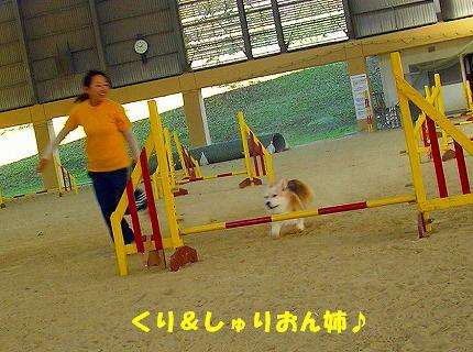d0081541_1838080.jpg