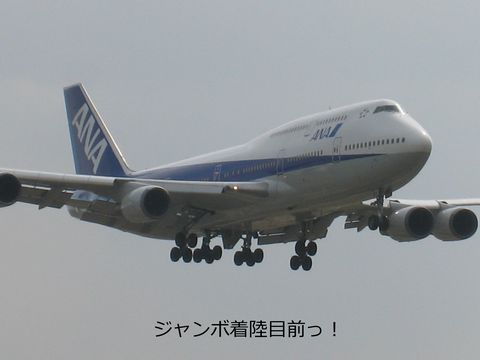 a0090451_23123217.jpg